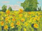 Summer Wildflowers Art Print
