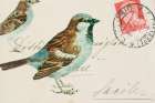 Sparrow Art Deco Print