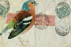 Chaffinch Art Deco Print