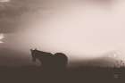 Following Along Sepia Art Print
