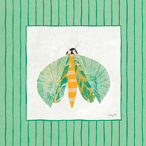 Collage Insects II V2 Art Print