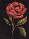 Blooms in Black I Art Print