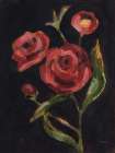 Blooms in Black IV Art Print