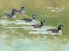 Ducks in a Row Art Print