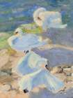 Swans Sunning Art Print
