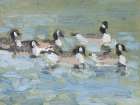 Flock Swimming Art Print