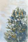 Winter Shrub Art Print