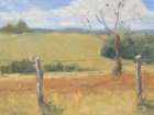 Sunny Pasture Art Print