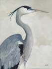 Coastal Bird I Art Print
