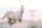 Colorado Open Range Saying Art Deco Print