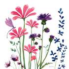 Among the Wildflowers II Art Print