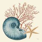 Ocean Life VIII Art Print