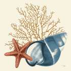 Ocean Life IX Art Print