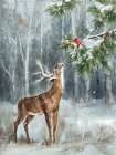 Woodland Companion II Art Print