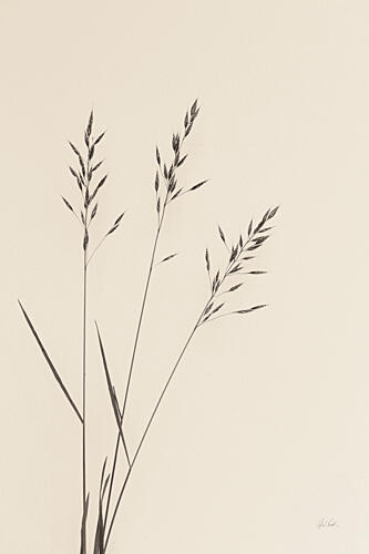 Wild Oats I Art Print
