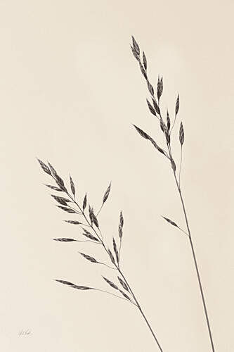 Wild Oats II Art Print