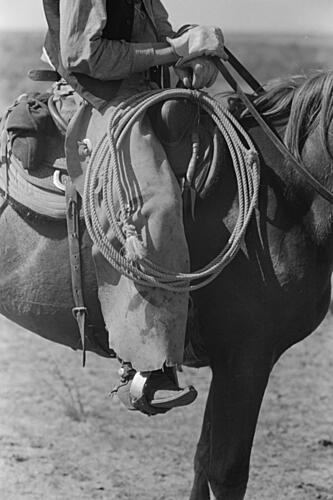 Regalia of the Cowboy Art Print