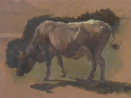 Cow in Albano Art Print