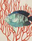 Ocean Life IV Art Print