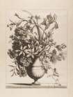 A Study in Bloom and Light Art Print