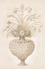 Classical Arrangement Art Print