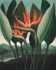 Temple of Flora Art Print