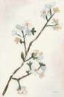 First Blooms I Art Print