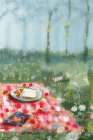Picnic Lunch II Art Print