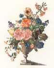 A Vase with Flowers II Art Print