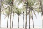 Beach Palms Art Print