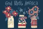 American Country Jars v2 Art Print