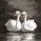 Swan Lake II Art Print