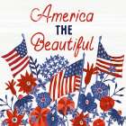 America the Beautiful I v2 Art Print