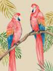 Parrots in the Tropics III Art Print