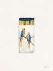 Tropical Matchbox II Art Print