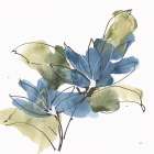 Indigo Clematis I Art Print