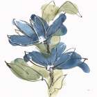 Indigo Clematis II Art Print
