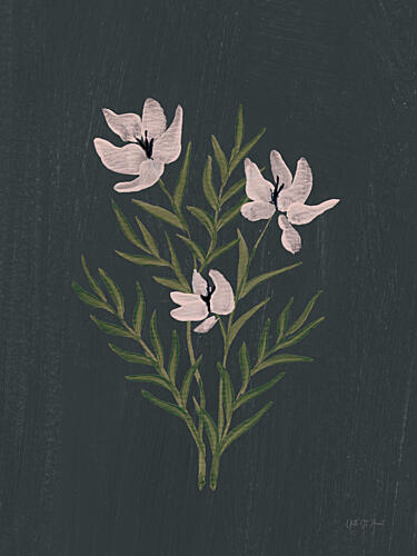 Pretty Little Flower IV Black V2 Art Print