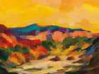 Sonoran View Art Print
