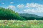Flowers in the Valley Art Print