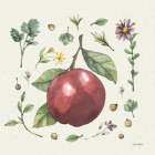 Illustrated Garden III Art Print