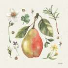 Illustrated Garden IV Art Print