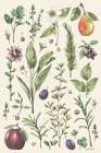 Illustrated Garden V Art Print