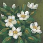 Ivory Blossoms I Art Print