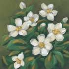 Ivory Blossoms II Art Print