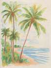 Playa Palms I Art Print