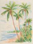 Playa Palms II Art Print