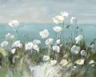 Sea Breeze Poppies Art Print