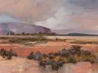 Desert Life Art Print