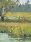 Wetland Sunshine Art Print